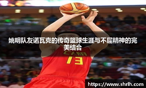 姚明队友诺瓦克的传奇篮球生涯与不屈精神的完美结合